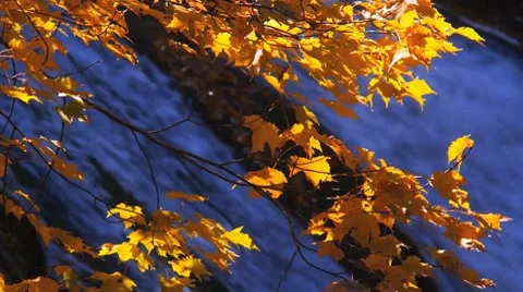 Tellico River-01.mp4 Stock Footage 8539813