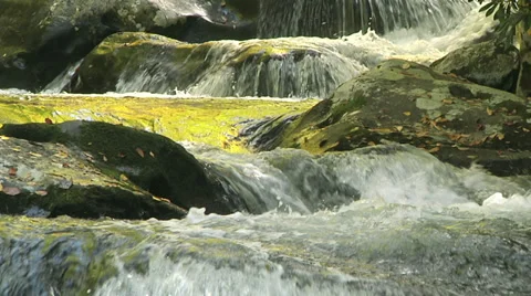 Tellico River 02 Vidéo 31778074