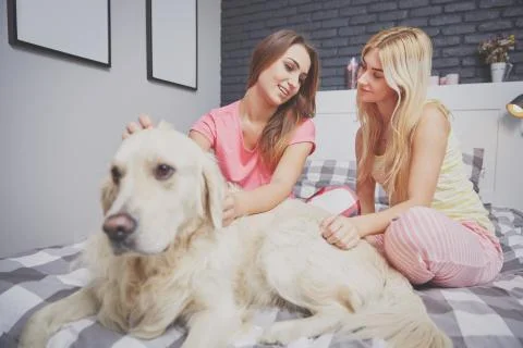 Telling secrets Stock Photos