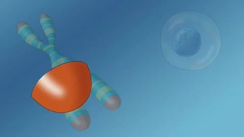 Telomere, Cell, DNA, Chromosome Stock Footage 194823341