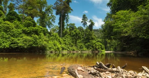 Tembeling River and surrounding rainforest, Taman Negara Malaysia. Stock Footage 152832938