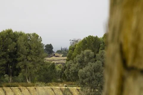 Temecula 스톡 사진