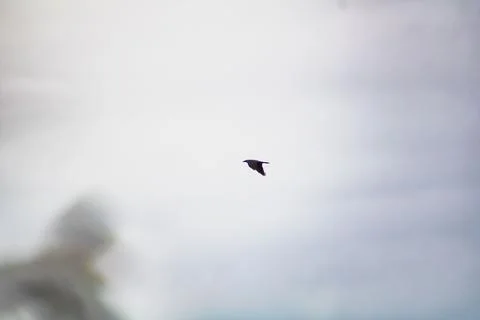 Temecula 스톡 사진