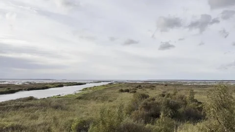 Temmesjoki river delta landscape in Liminka, Finland Stock-Footage 250237705