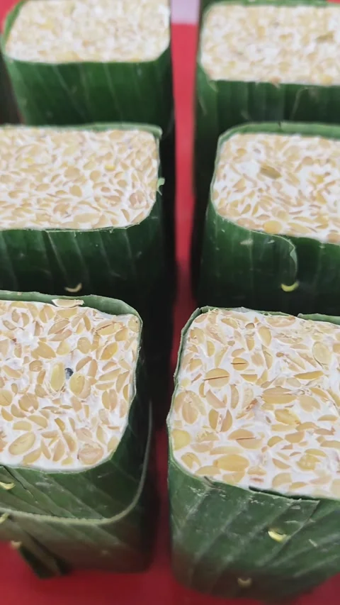 Tempeh on display Stock Footage 334939924