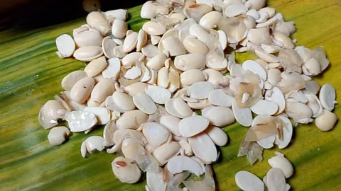 Tempeh that has not yet been made is still in the fermentation process, Stock Footage 318334549
