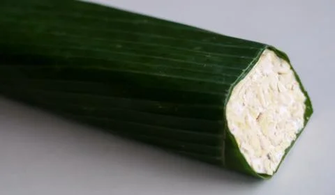 Tempeh Stock Photos
