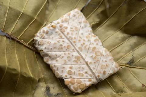 Tempeh wrapped in leaf close up Stock Photos