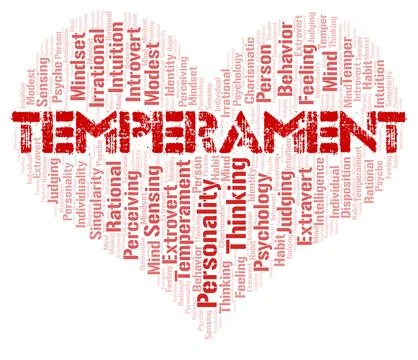 Temperament typography word cloud create with the text only. 스톡 일러스트