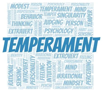 Temperament typography word cloud create with the text only. Stock Illustration