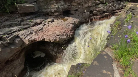Temperance River State Park falls Video stock 230918537