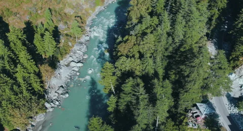Temperate forests and River flowing through it Stock Footage 164701373