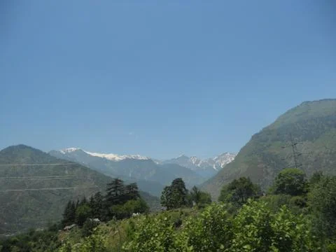 Temperate green forest in the mountain range Stock Photos