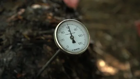 Temperature of hot Berkley black compost is recorded with thermometer Stock Footage 270283308