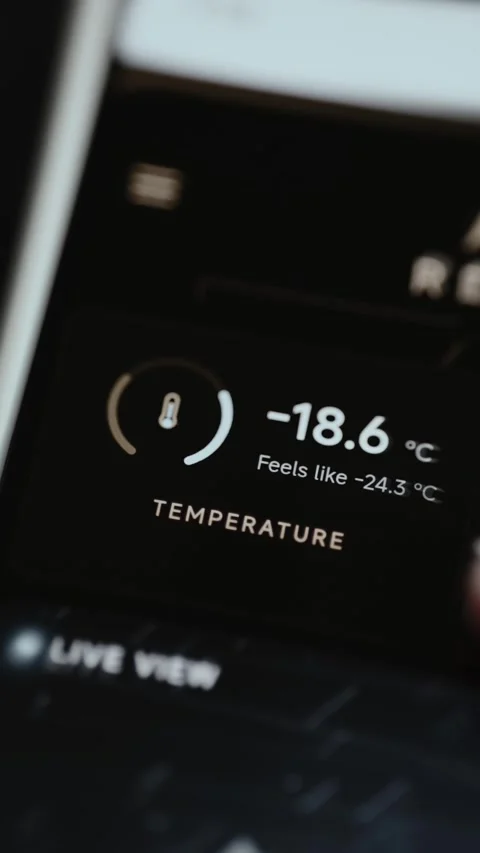 Temperature Reading Minus 18.6 Degrees With Colder Feels-Like Value 4K Vídeo Stock 341313018