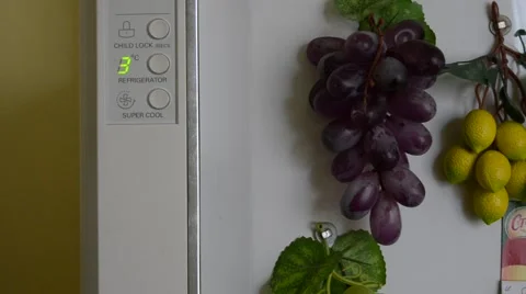 The temperature for the refrigerator 库存影片 62019685