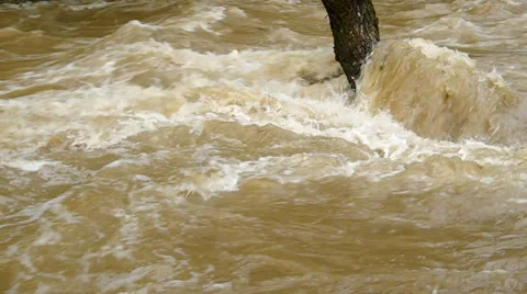 Tempestuous flow of the river Stock Footage 38310055