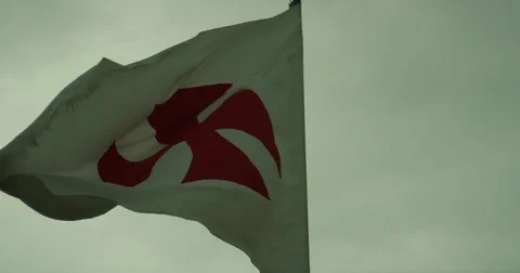 Templar Flag Vídeo Stock 77006764