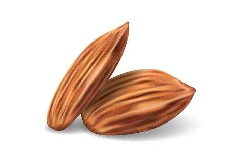 Template with almonds for packaging design, presentation, banner, ad. Realistic Stock Illustration
