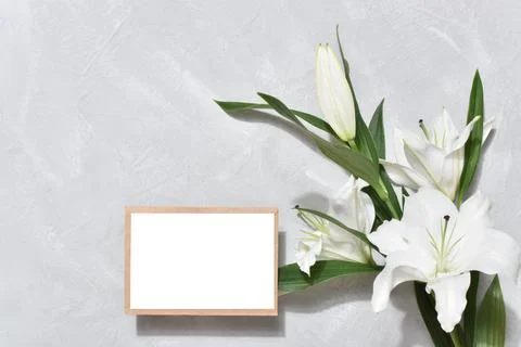 The template is a blank paper and an envelope with space for text on a gray Stock Photos