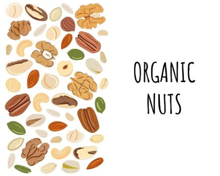 Template with border with nuts and seeds. Kitchen, cooking print and banner. Stock Illustration