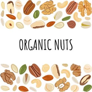 Template with border with nuts and seeds. Kitchen, cooking print and banner. Stock Illustration