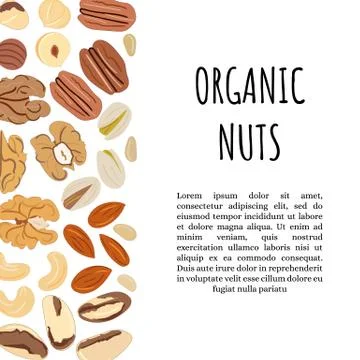 Template with border with nuts. Kitchen, cooking print and banner. Stock Illustration