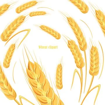 Template for bread design. Banner for beer label, cereal products. Vector ill Stock Illustration