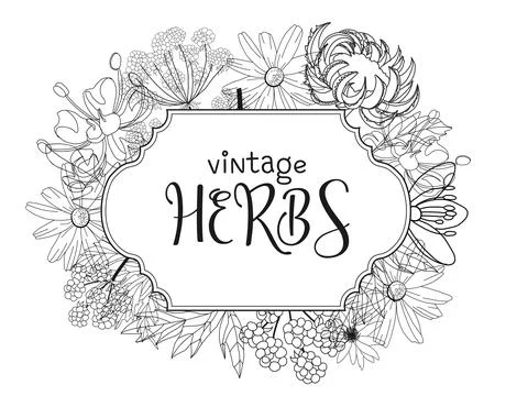 Template card with medicinal herbs. vector template. Wild medicinal plants. R 스톡 일러스트