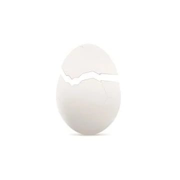 Template of chicken egg cracked in half realistic vector illustration isolate Illustrazione stock
