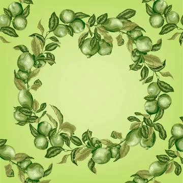 Template with circle frame of citrus tree branches. There are limes and lemon Stock Illustration