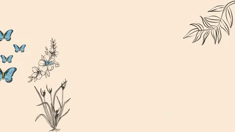 Template cover video motion with butterfly animation Stock Footage 225614056