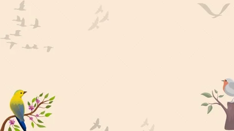 Template cover video opening with motion bird animation.mp4 Stock Footage 225614055