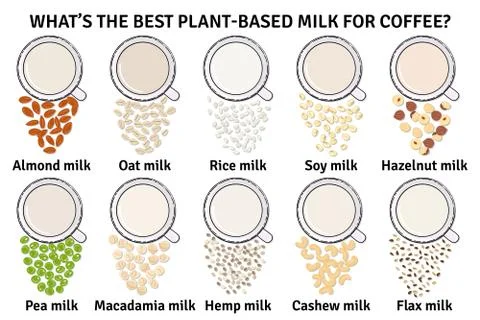 Template of cups with plant-based milk. Vegan milk in glass Stock Illustration