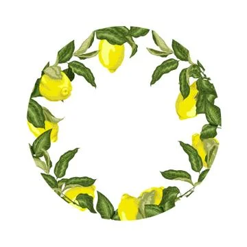 Template decorative vector element with citrus fruits in circle Stock Illustration