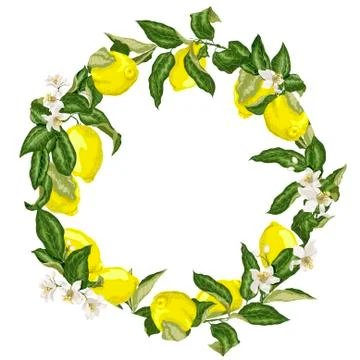 Template decorative vector element with citrus fruits in circle Stock Illustration