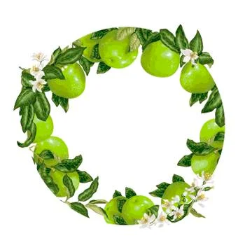 Template decorative vector element with citrus fruits in circle Stock Illustration