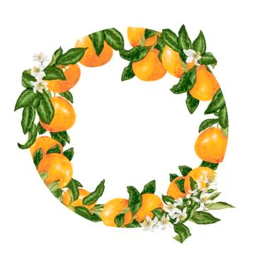 Template decorative vector element with citrus fruits in circle Stock-Illustration