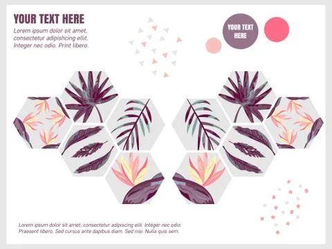 Template design Brochure Abstract Background Stock Illustration