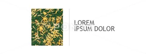 Template for facebook cover page in psd format editable PSD Template
