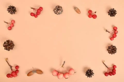 The template is a frame on a beige background with various natural objects. Stock Photos