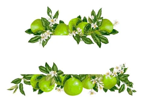 Template frame decprative vector element with citrus flowers and fruits Stock Illustration