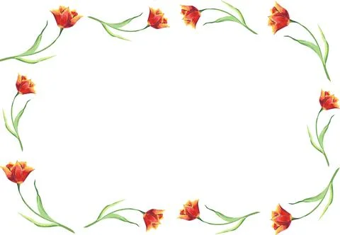 Template for frame with red tulips. Botanical watercolor illustration Stock Illustration