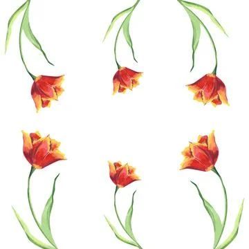 Template for frame with red tulips. Botanical watercolor illustration Stock Illustration