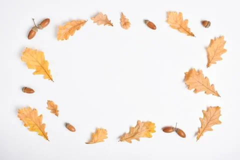 The template is a frame on a white background with various natural objects. Stock Photos