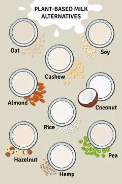 Template of glasses with plant-based milk. Vegan milk in glass Stock Illustration
