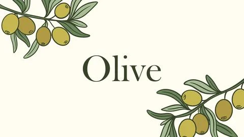 Template with green olive branches Ilustración de archivo