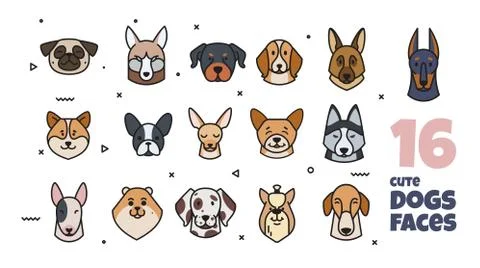 Template label design with different breeds of dogs. Illustrazione stock