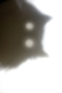 Template for meme Stock Photos