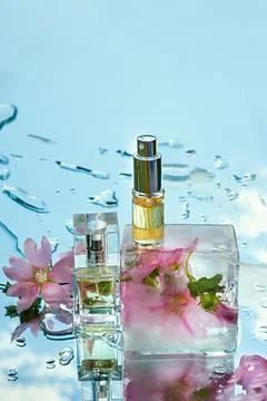 Template for perfume and eau de toilette with ice deco, podium with flowers Stock Photos